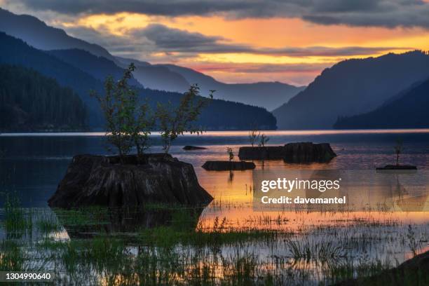 Buttle Range Buttle Lake Photos and Premium High Res Pictures - Getty Images
