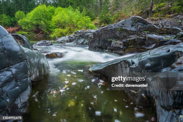 sooke potholes - sooke potholes provincial park stock pictures, royalty-free photos & images