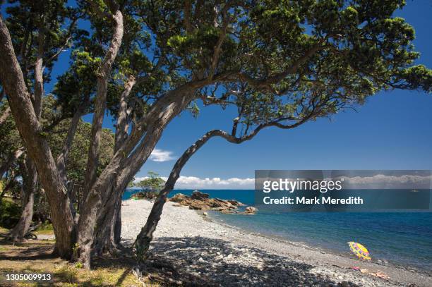 fantail bay on the pohutukawa coast - halbinsel coromandel peninsula stock-fotos und bilder