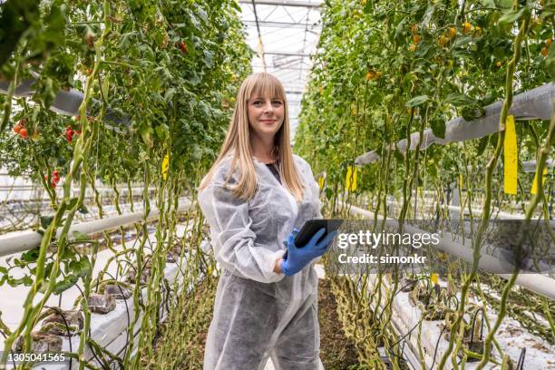 vrouwelijke botanicus die zich in serre bevindt - botanist stockfoto's en -beelden