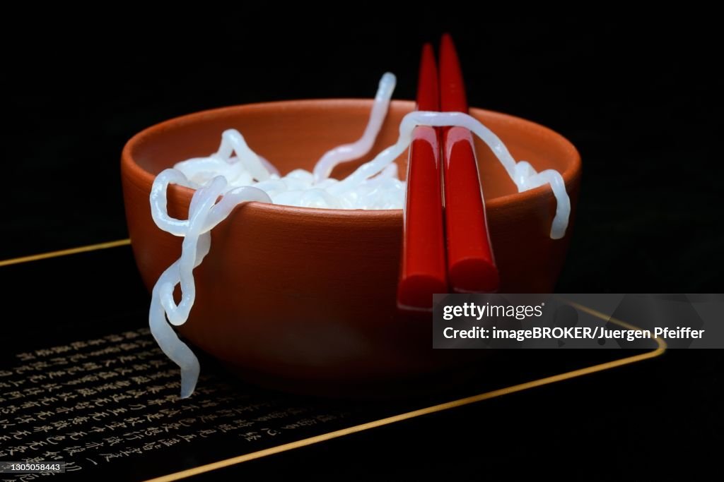 Shirataki noodles made from konjac flour in a bowl with chopsticks, Germany