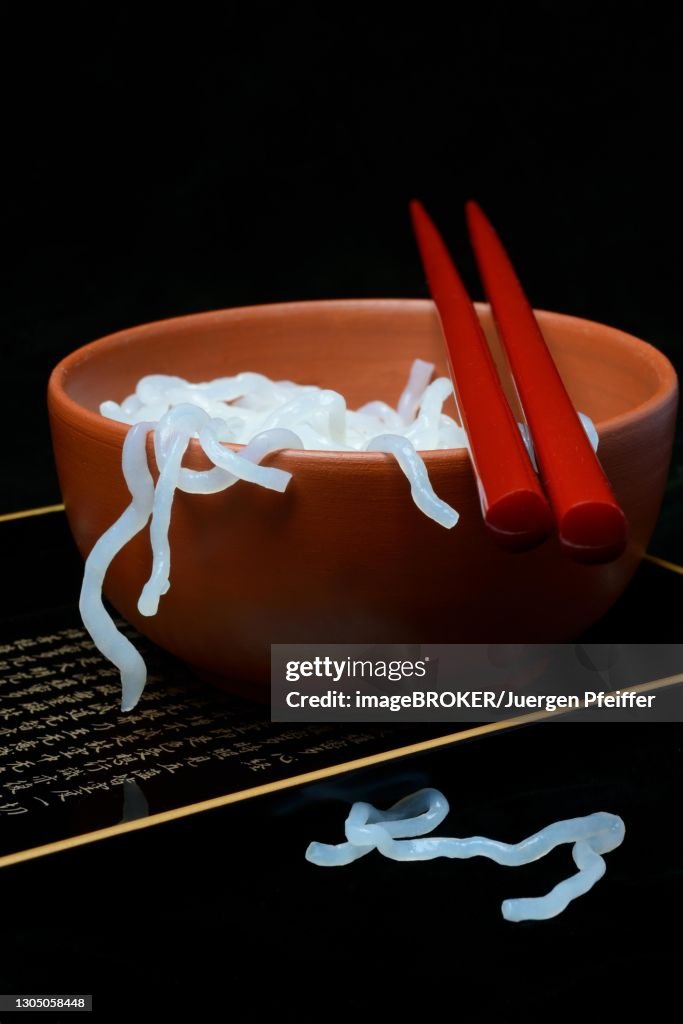 Shirataki noodles made from konjac flour in a bowl with chopsticks, Germany