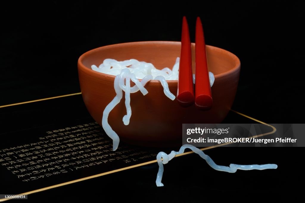 Shirataki noodles made from konjac flour in a bowl with chopsticks, Germany