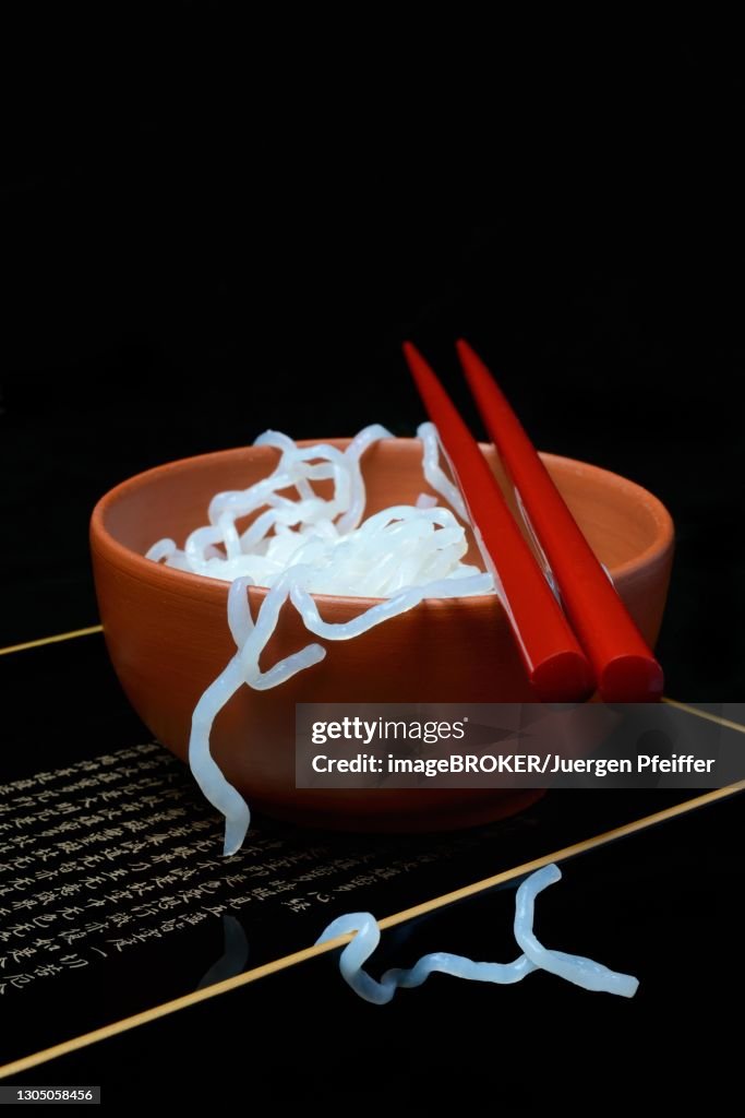 Shirataki noodles made from konjac flour in a bowl with chopsticks, Germany