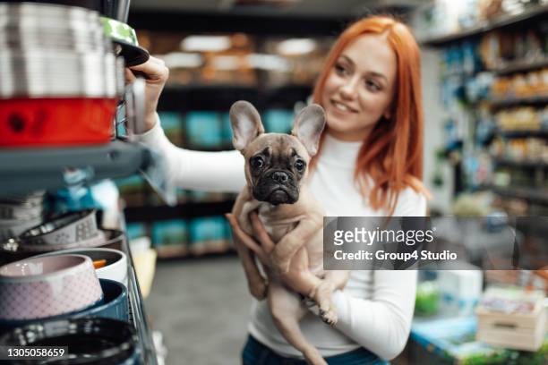 woman in pet shop - pet shop stock pictures, royalty-free photos & images