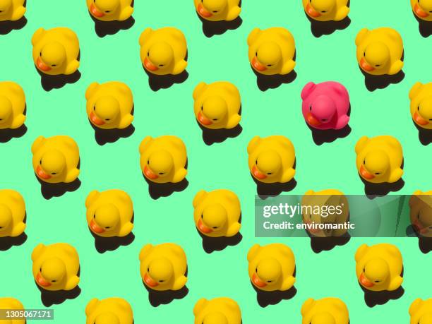 viele gelbe gummienten in einem abstrakten formalen wiederholungsmuster mit einer anderen farbe rosa gummiente unter den gelben enten auf einem türkisen hintergrund. - gummiente stock-fotos und bilder