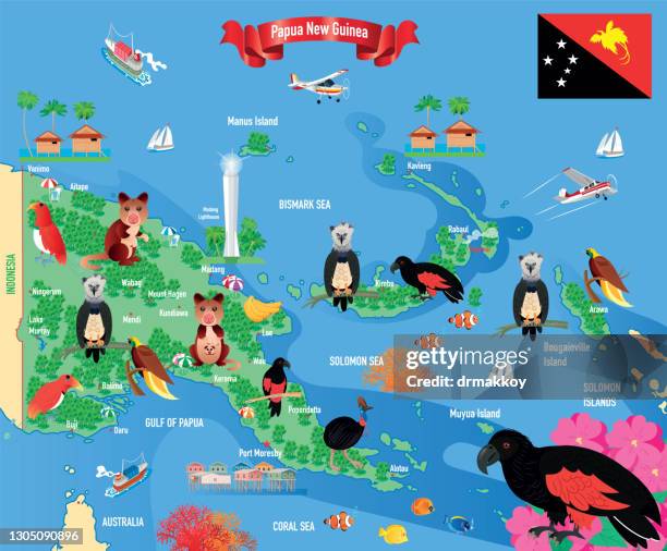 papua new guinea travel map - king bird of paradise stock illustrations
