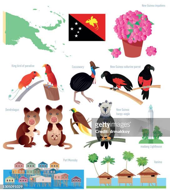 papua new guinea symbols - cassowary stock illustrations