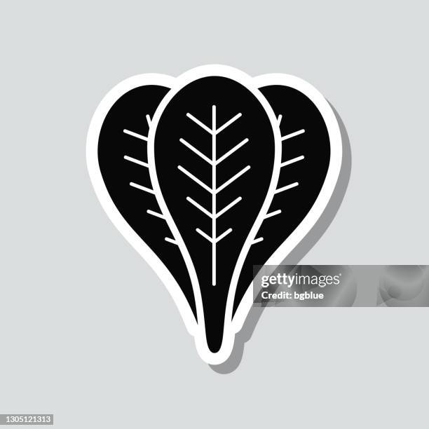 spinach. icon sticker on gray background - spinach leaf isolated stock illustrations