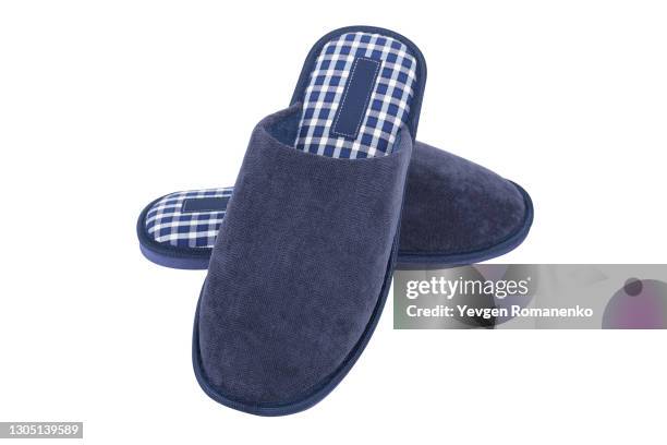 blue slippers isolated on white background - chinelos imagens e fotografias de stock