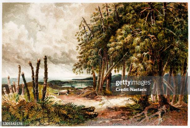 plants from the triassic period - triassic landscape stock illustrations