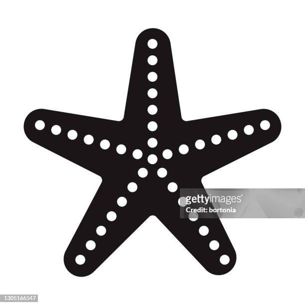 illustrazioni stock, clip art, cartoni animati e icone di tendenza di icona di starfish travel glyph - conchiglia