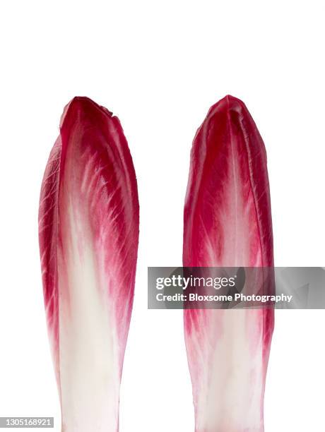 easter bunny ears - radicchio stock pictures, royalty-free photos & images