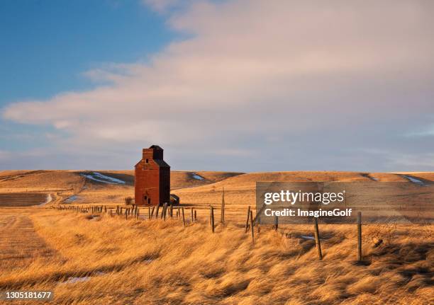 old wooden grain elevator on the canadian prairie - saskatchewan stock pictures, royalty-free photos & images