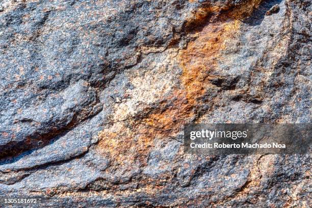 old rock from ontario, canada - metamorf gesteente stockfoto's en -beelden