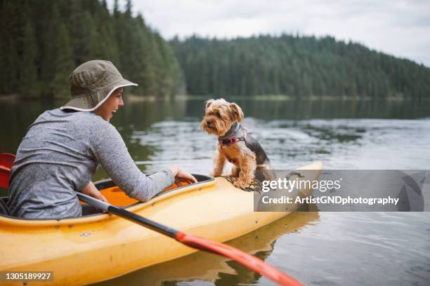 joven hermosa mujer haciendo kayak con su perro en el lago. - kayak fotografías e imágenes de stock