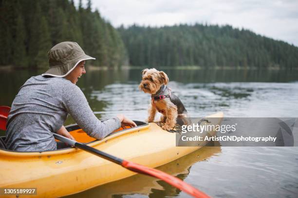 young beautiful woman kayaking with her dog at the lake. - kayaking stock pictures, royalty-free photos & images