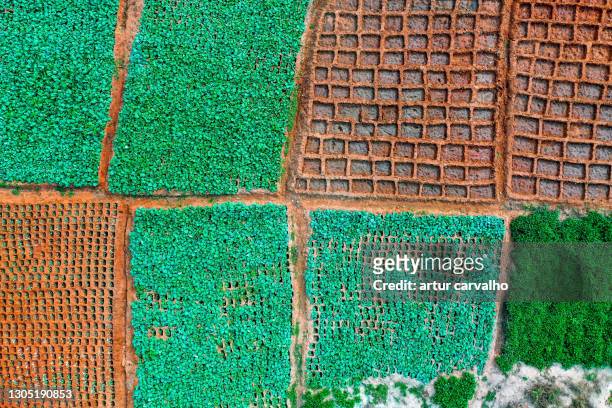 abstract natural landscape from above - angola drone stock pictures, royalty-free photos & images