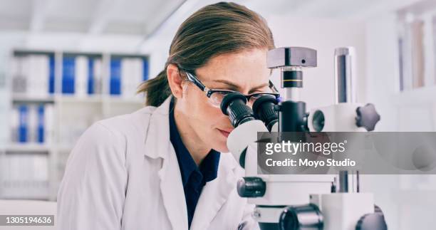 every experiment is a stepping stone to new discoveries - pathologist stock pictures, royalty-free photos & images