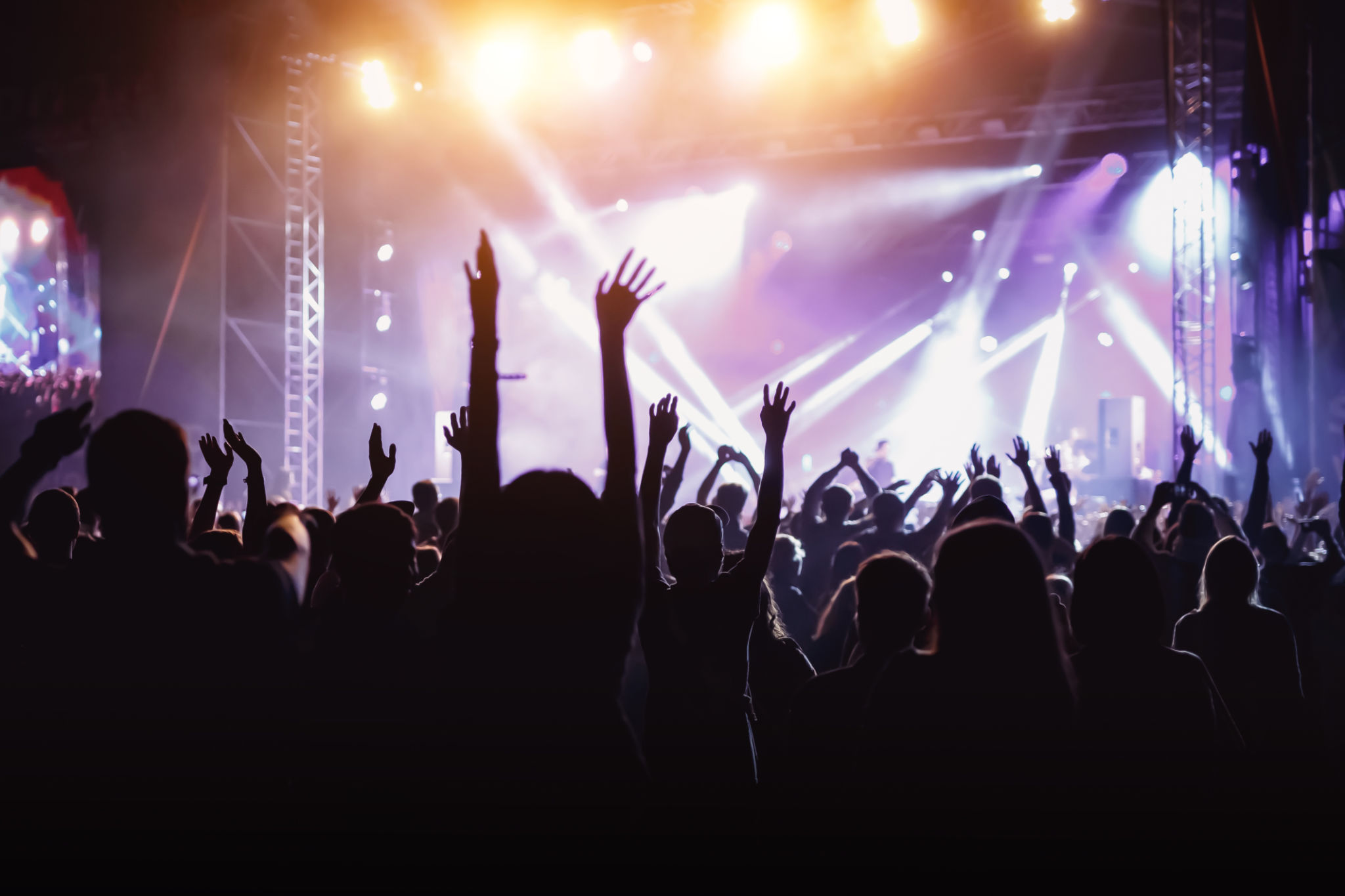 people enjoying concert