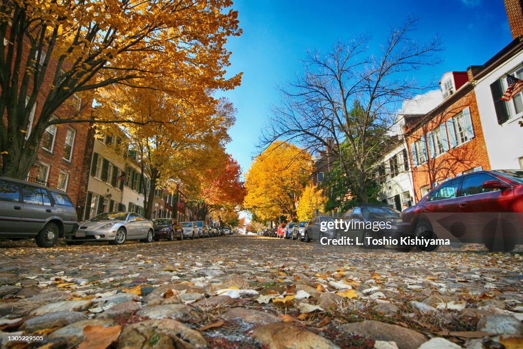 Autumn in Virginia