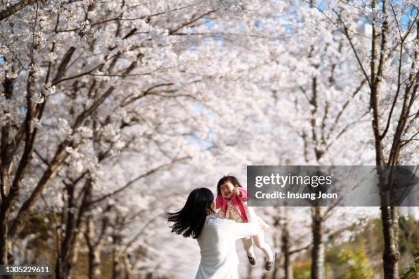 mother having fun with her baby daughter in cherry blossoms - baby lachen natur stock-fotos und bilder