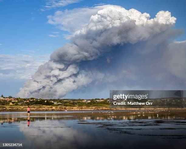bushfire - climate change australia stock pictures, royalty-free photos & images