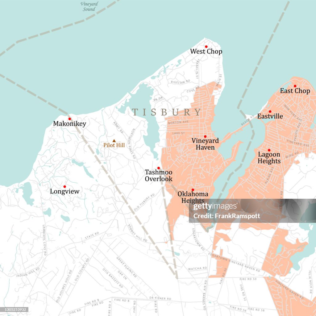 MA Dukes Tisbury Vector Road Map