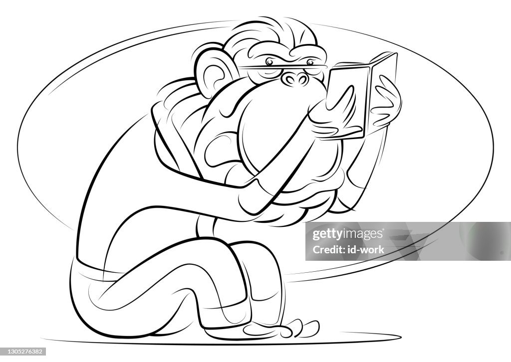 Chimpanzee reading book line drawing
