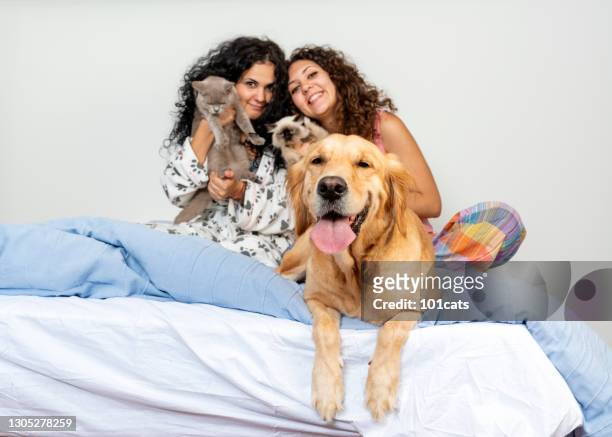 sisters playing with their pets on bed in the morning - curly dog stock pictures, royalty-free photos & images