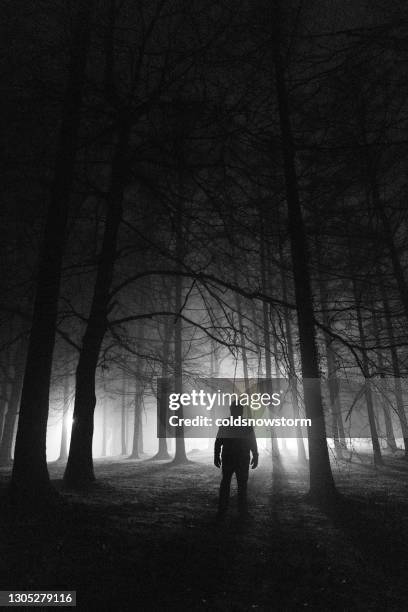 sinister silhouette man lurking in the shadows - scary forest stock pictures, royalty-free photos & images