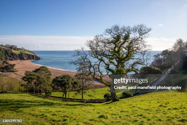 elevated view of blackpool sands beach, south devon - blackpool sands stock pictures, royalty-free photos & images