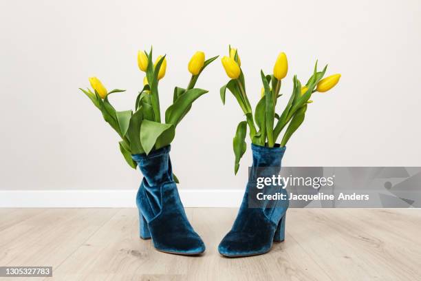 blue velvet booties with yellow tulips inside - blue boot stock pictures, royalty-free photos & images