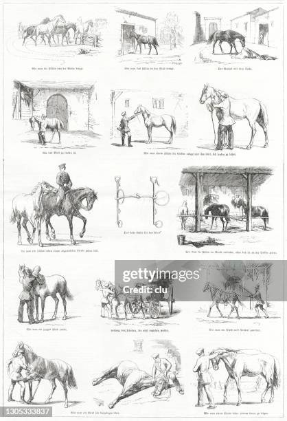 art of taming horses - storyboard stock illustrations