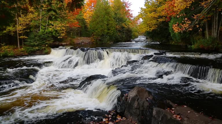 https://media.gettyimages.com/id/1305339088/video/bond-falls-autumn-loop.jpg?b=1&s=640x640&k=20&c=tltJ_oh_QGGwv4LYQETRl50YQBUxtMPS7eIvXgYYSRI=