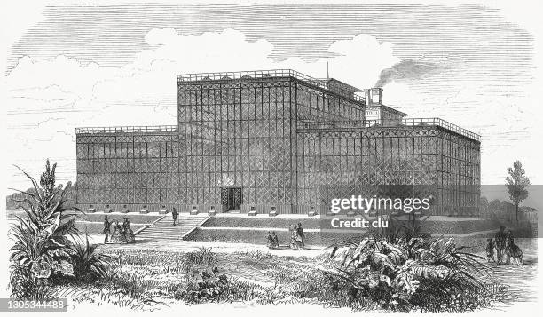 berlin, botanischer garten, palmenhaus - botanischer garten berlin stock-grafiken, -clipart, -cartoons und -symbole