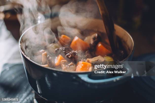 steaming stew in blue cast iron pot on stove - stew fotografías e imágenes de stock