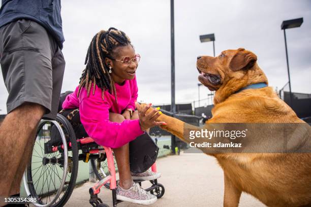 joven negra discapacitada en silla de ruedas jugando pickleball con amigo - perro adiestrado fotografías e imágenes de stock