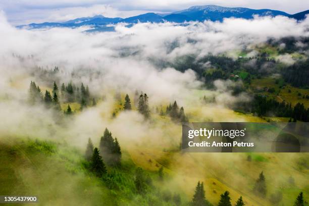 panorama of a misty dawn in the mountains. beautiful landscape in foothills of the alps - anton petrus panorama of beautiful sunrise bildbanksfoton och bilder