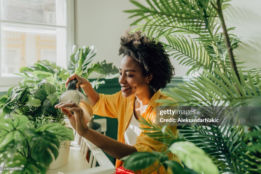 Taking care of my plants