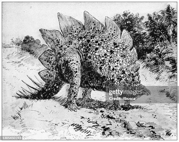 stockillustraties, clipart, cartoons en iconen met antieke illustratie: dinosaurussen, stegosaurus - stegosaurus