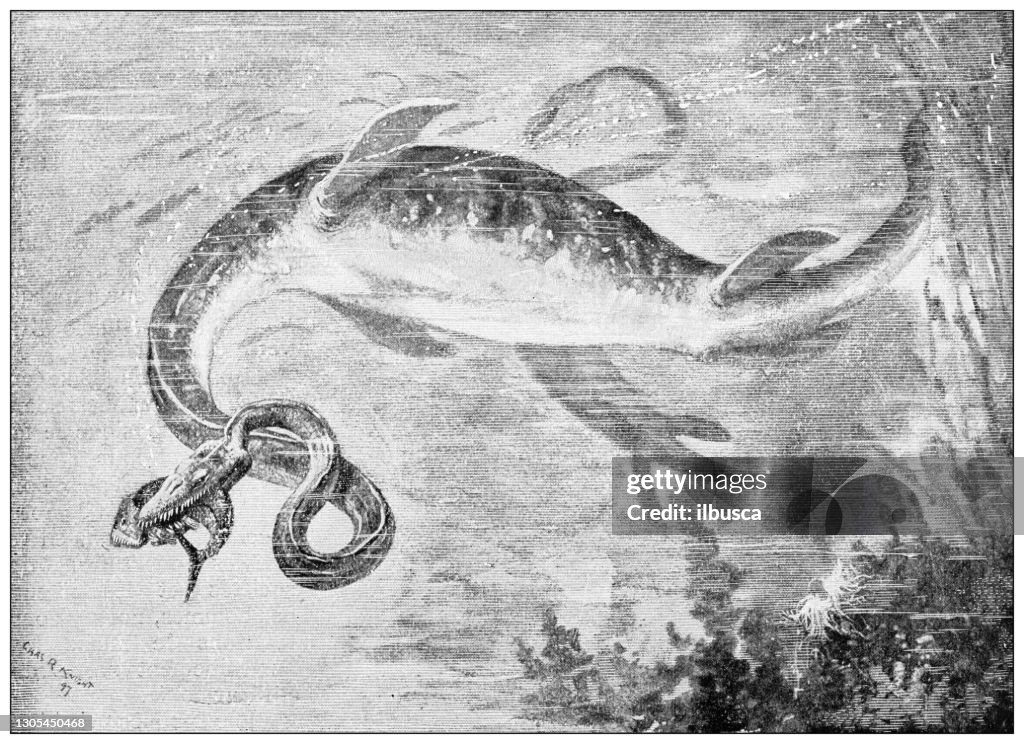 Antique illustration: Dinosaurs, Elasmosaurus