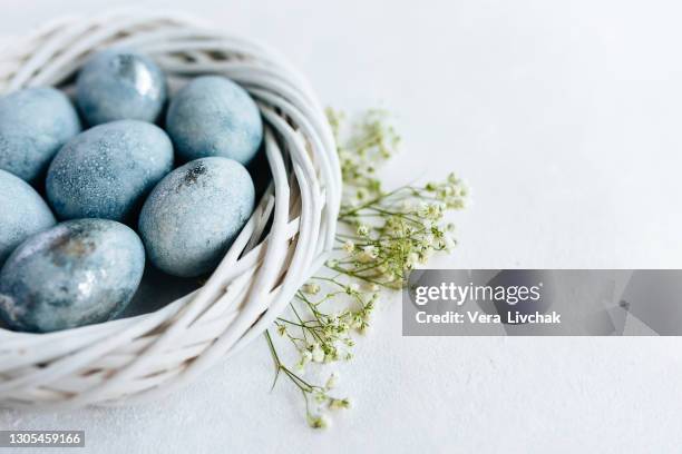 blue ombre eggs on light background in the white nest. spring flowers. daylight. stylish minimal compositions in pastel colors. easter concept. flat lay, top view. copy space - easter flowers stock pictures, royalty-free photos & images