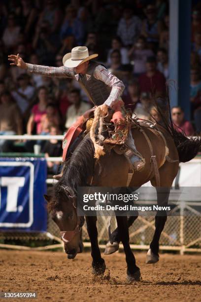 Horse Rider Rodeo 130 Arcadia All Florida Championship Rodeo Stock Photos, High-Res ...