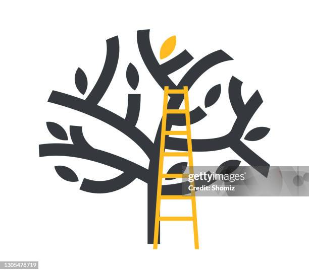 tree with a ladder - apple tree stock illustrations