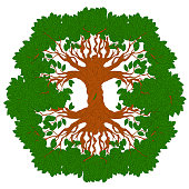 Yggdrasil tree. Celtic symbol of the ancient Vikings. The symbol of the ancient peoples of northern Europe. Norse cosmology, is an immense and central sacred tree.