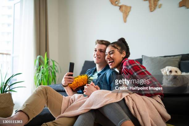 young couple with dog indoors at home sitting on sofa, eating popcorn. - couple tv bildbanksfoton och bilder