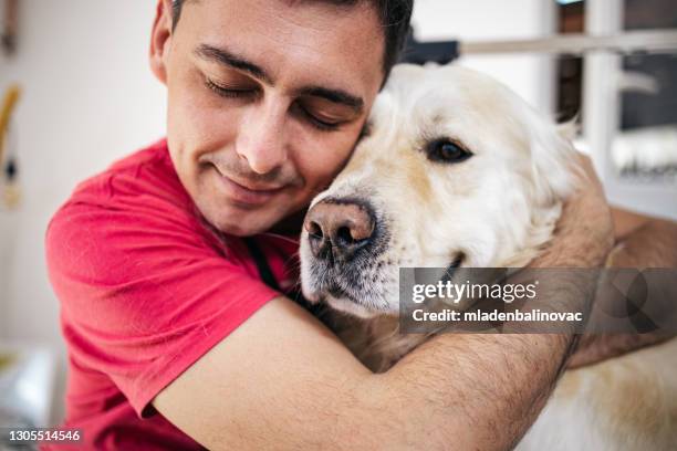 grooming salon - big hug stock pictures, royalty-free photos & images