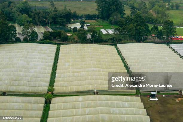large greenhouses near the airport surrounded by mountains - colombia flowers stock pictures, royalty-free photos & images