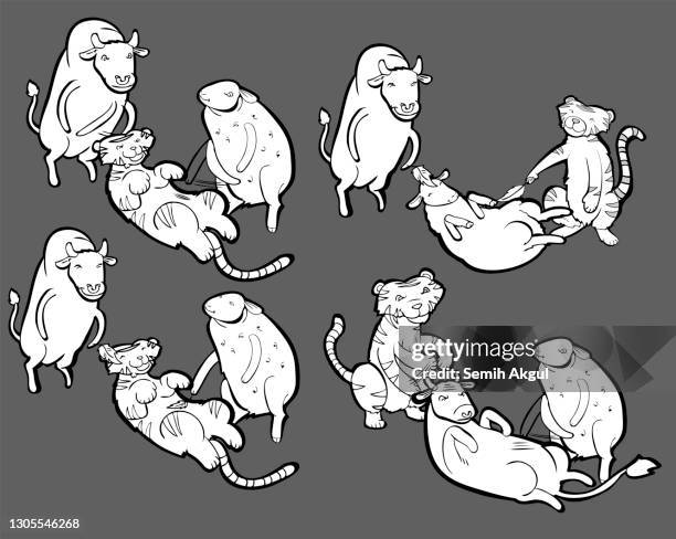 drei tiere in vier aktionen, bullenkuh, tiger, schafe, lamm - grautier pferdeartige stock-grafiken, -clipart, -cartoons und -symbole
